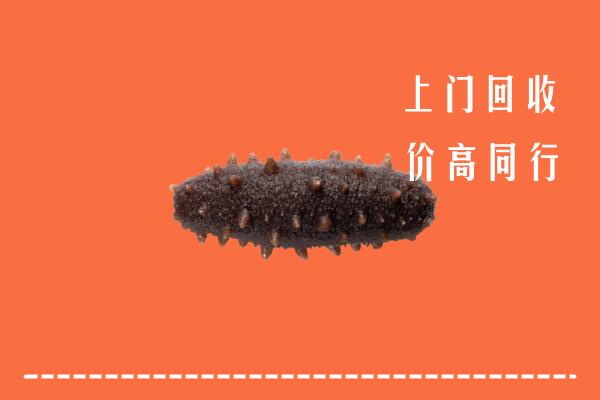 高价求购：绍兴市回收海参